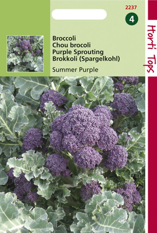 Broccoli Summer Purple  (Brassica) 75 Samen